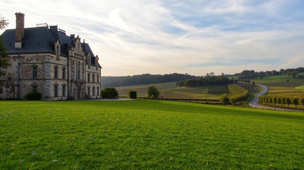 Top 5 assurances pour paysagistes à considérer en 2023